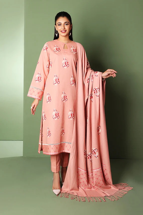 42205088-Printed Embroidered 3PC